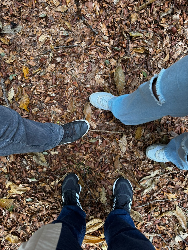 Ground view of autumn leaves covering forest floor with five feet in sneakers visible from above.