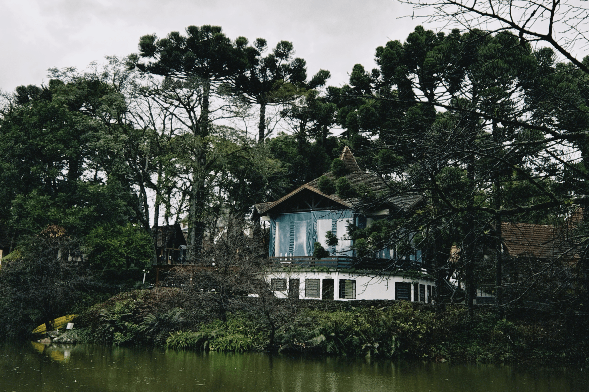 Real pretty house among araucaria trees, standing tall in front of a lake. The sky is cloudy